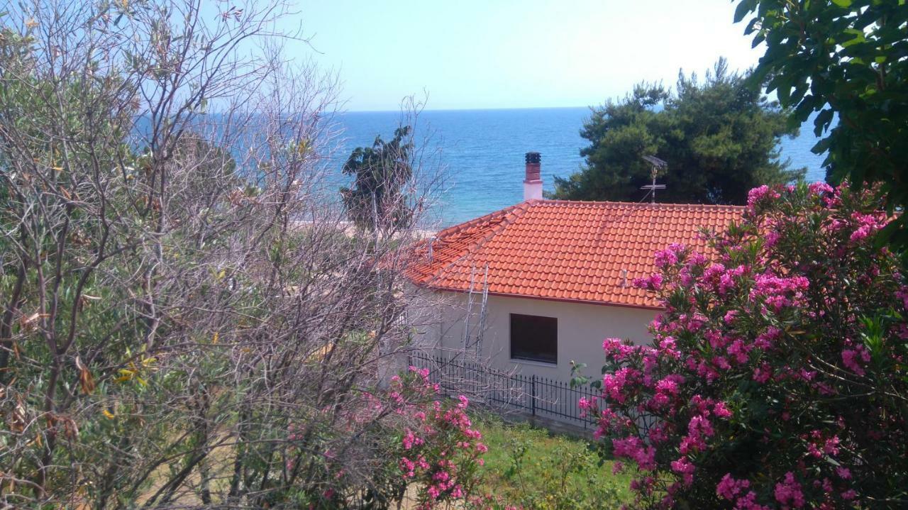 Maisonette Close To The Beach نيكيتي المظهر الخارجي الصورة